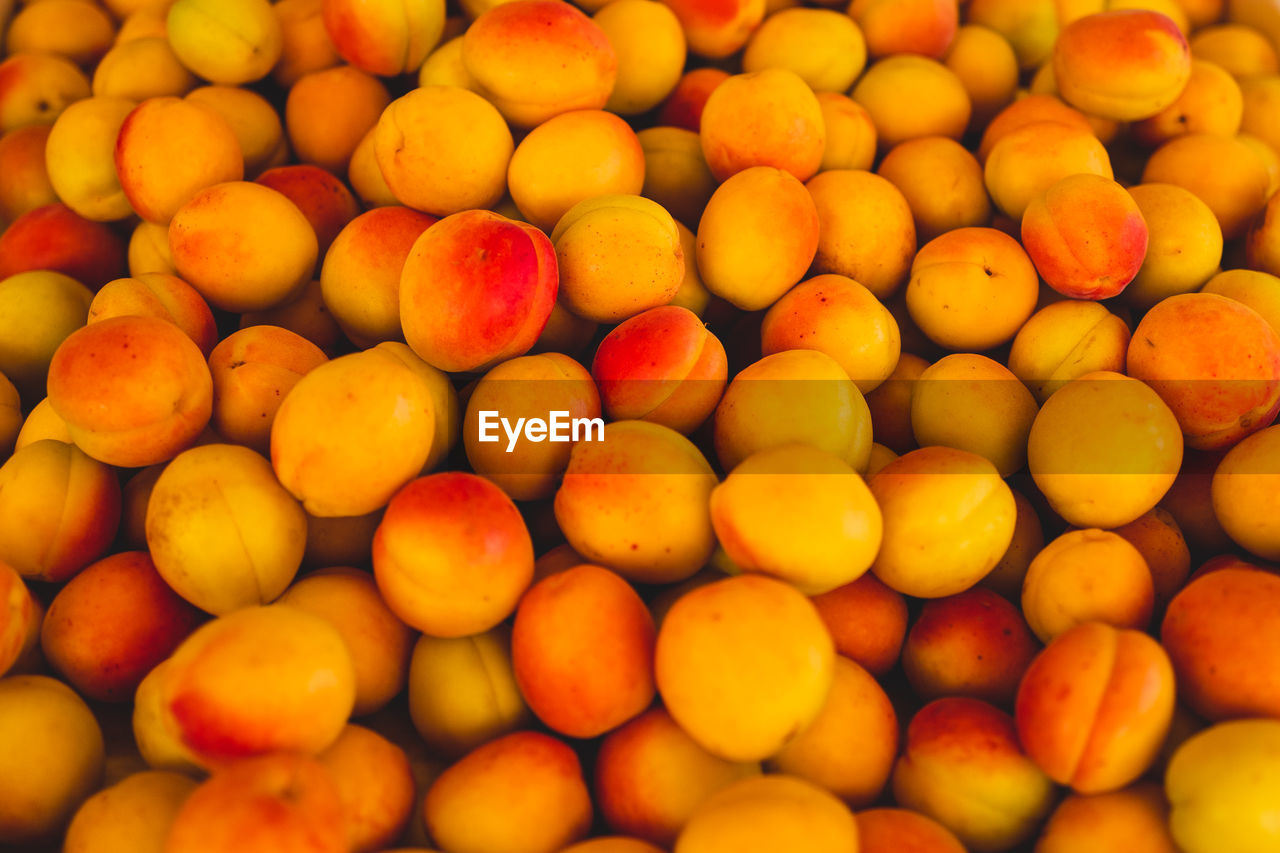 Full frame shot of fresh apricots
