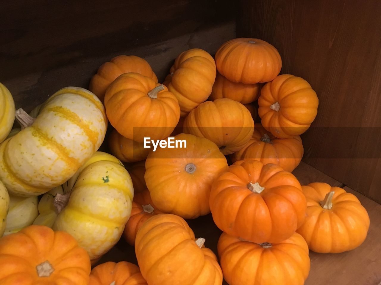 HIGH ANGLE VIEW OF PUMPKINS IN MARKET