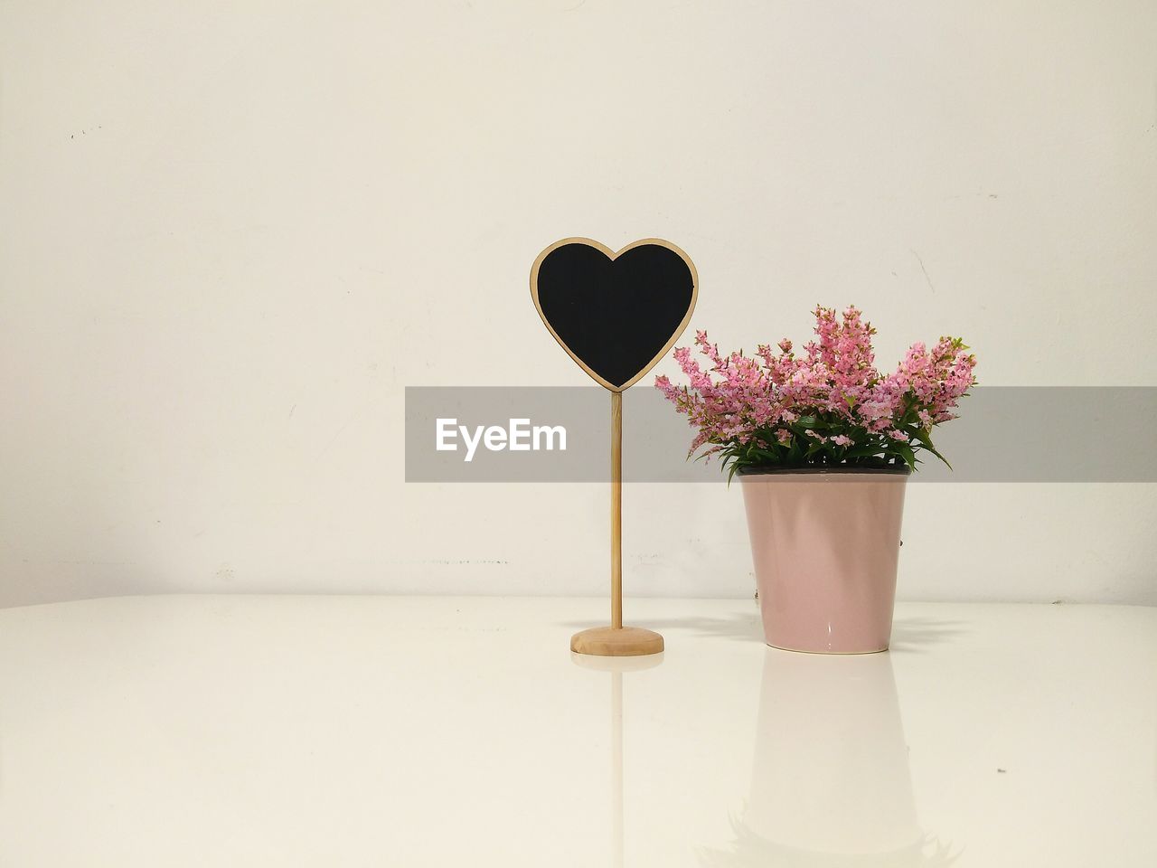 Flowers in pot by blank sign on table against white wall