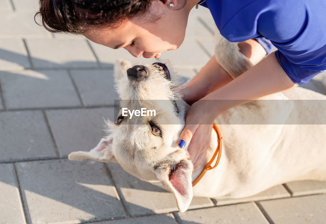 High angle view of woman with dog on footpath