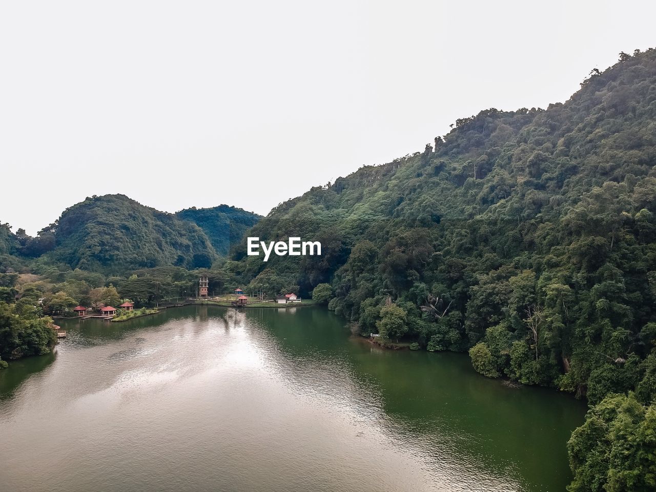 Scenic view of river amidst trees against clear sky