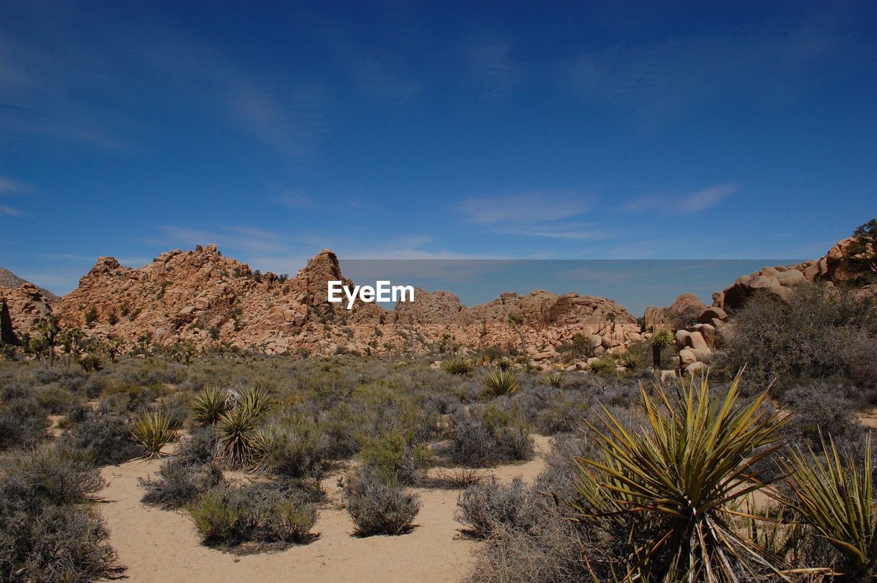 View of rock formations in desert