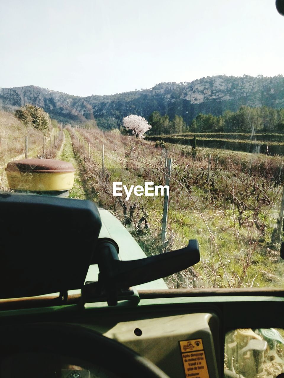 CLOSE-UP OF TREE ON LANDSCAPE AGAINST SKY