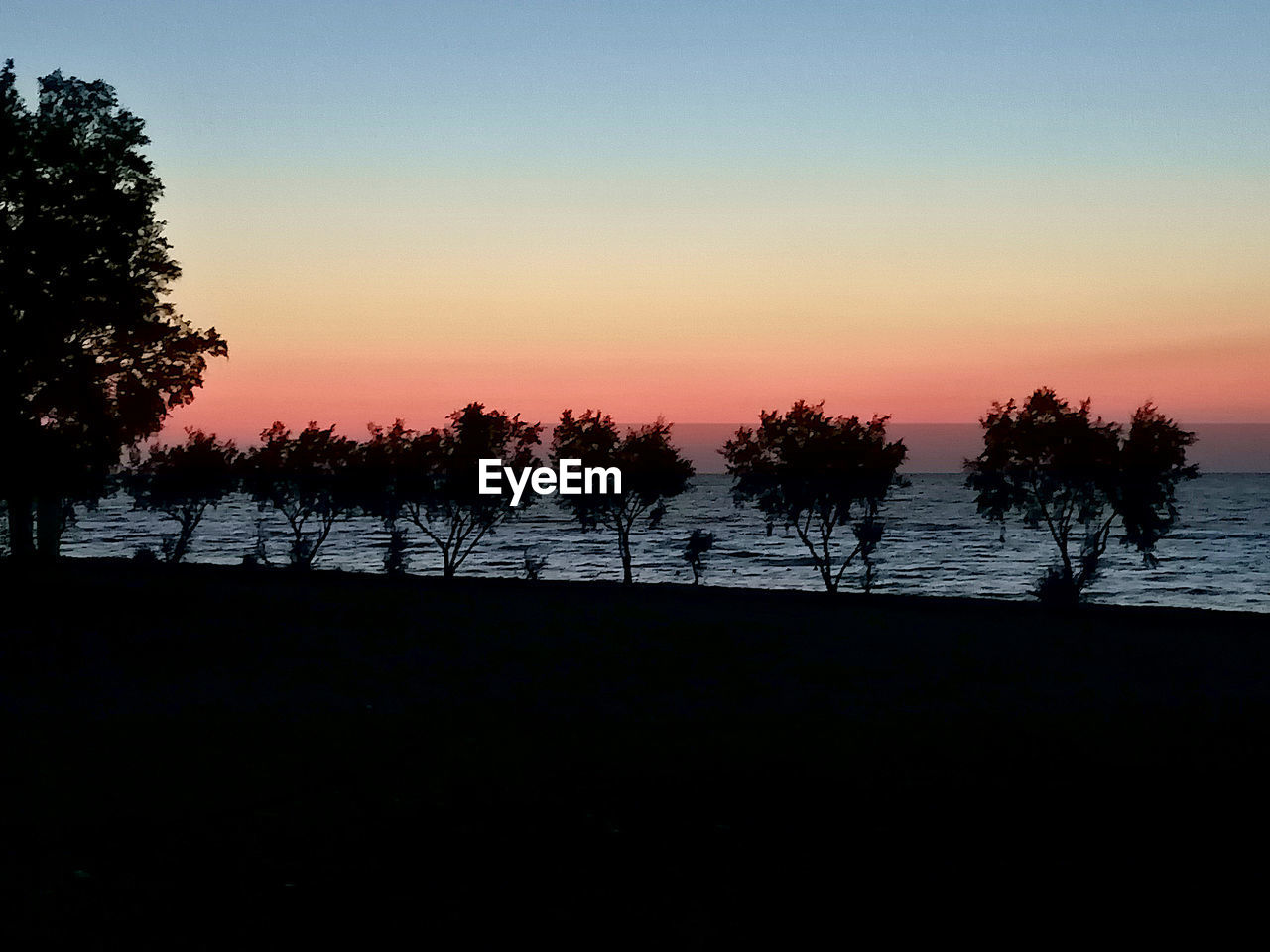 SILHOUETTE TREES ON BEACH AGAINST ORANGE SKY