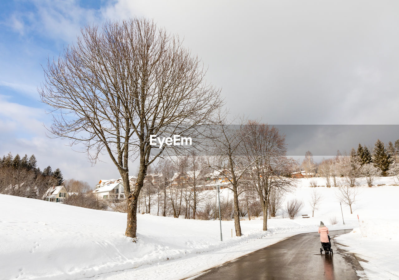 Bare trees on snow covered field against sky