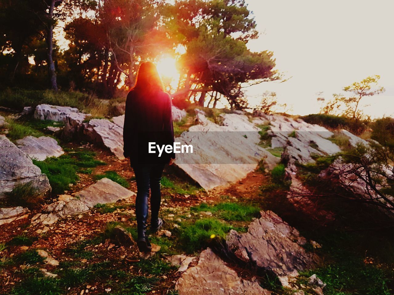 Rear view of woman walking against trees during sunset