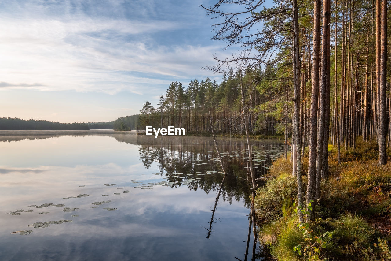 Scenic view of lake in forest against sky with calmness water