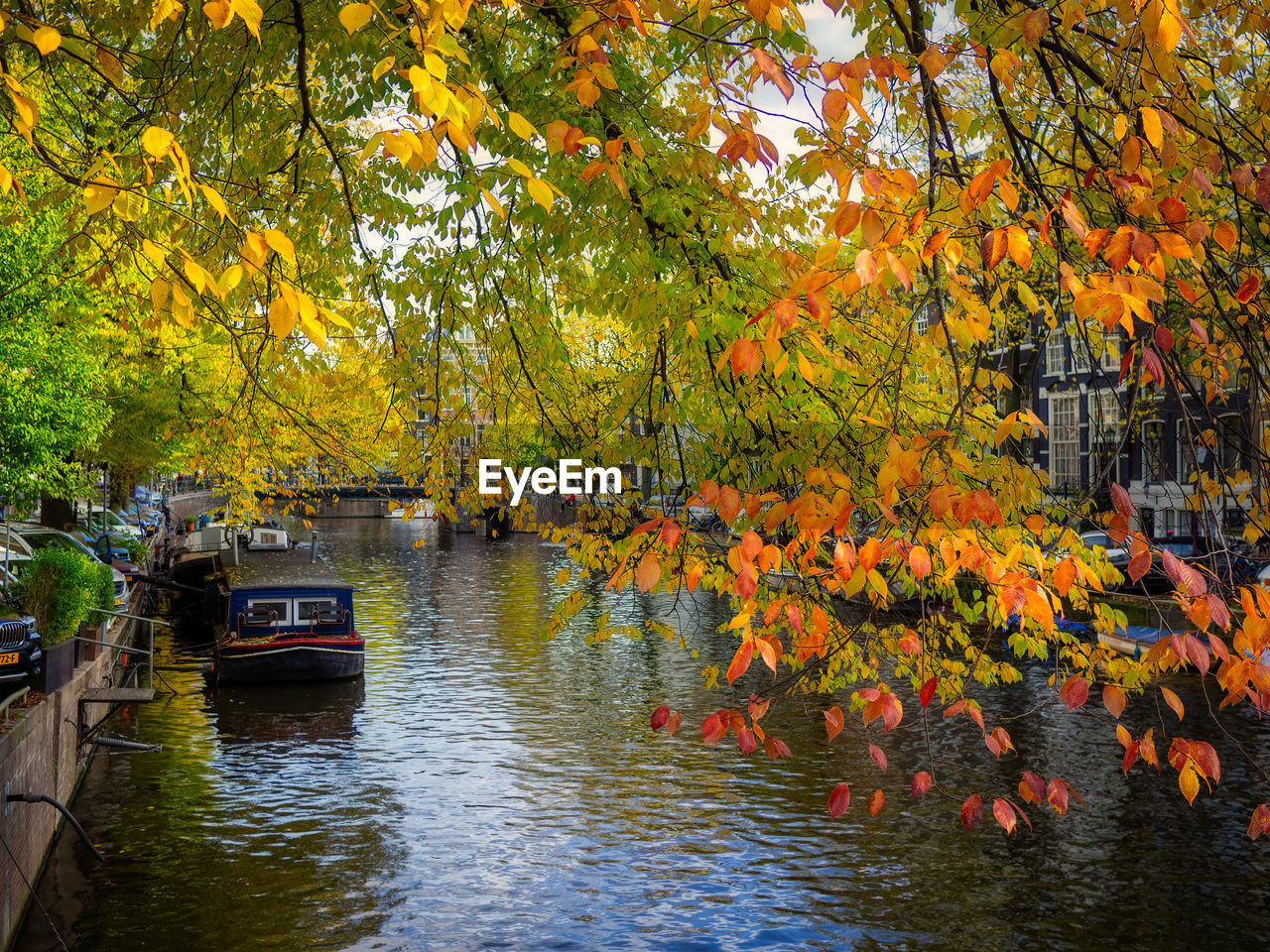 Scenic view of river during autumn
