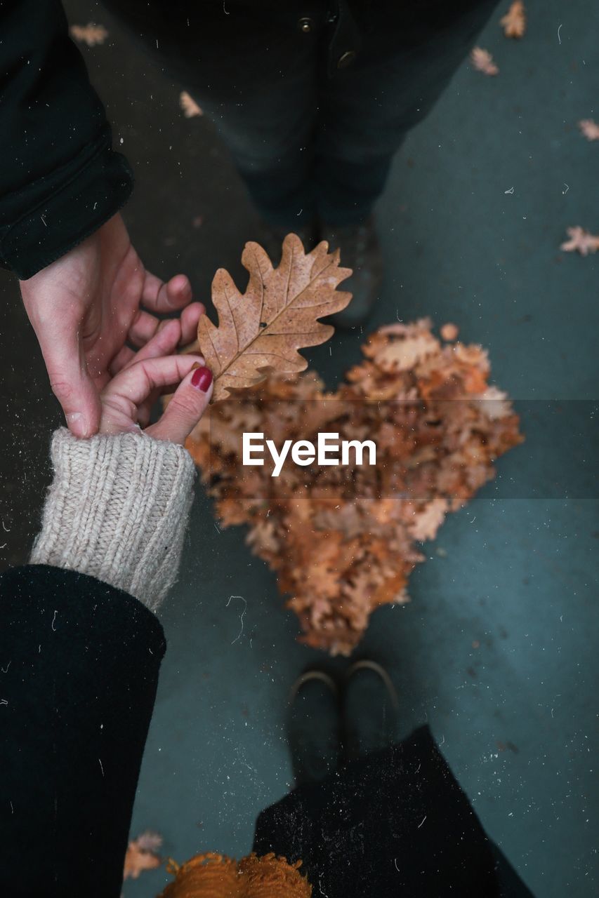 Low section of couple holding hands over autumn leaves arranged in heart shape