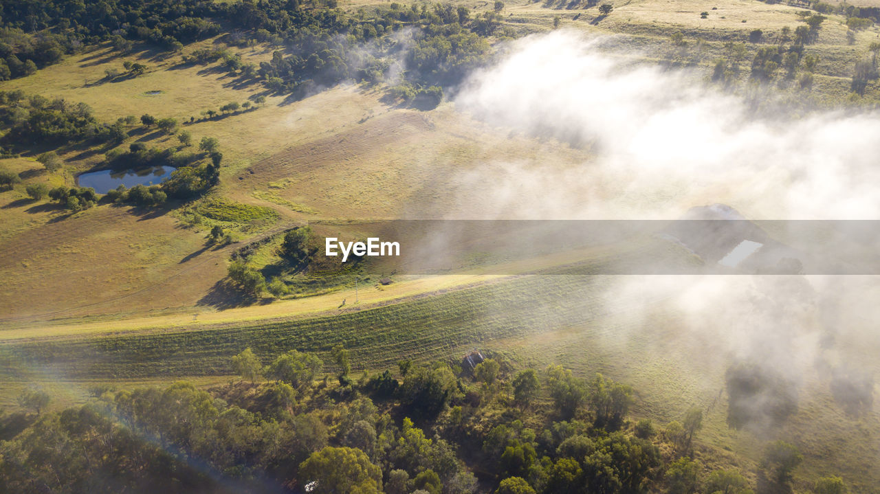 High angle view of trees on field
