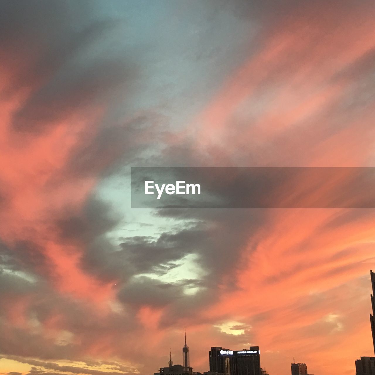 LOW ANGLE VIEW OF CLOUDY SKY OVER SILHOUETTE TREES