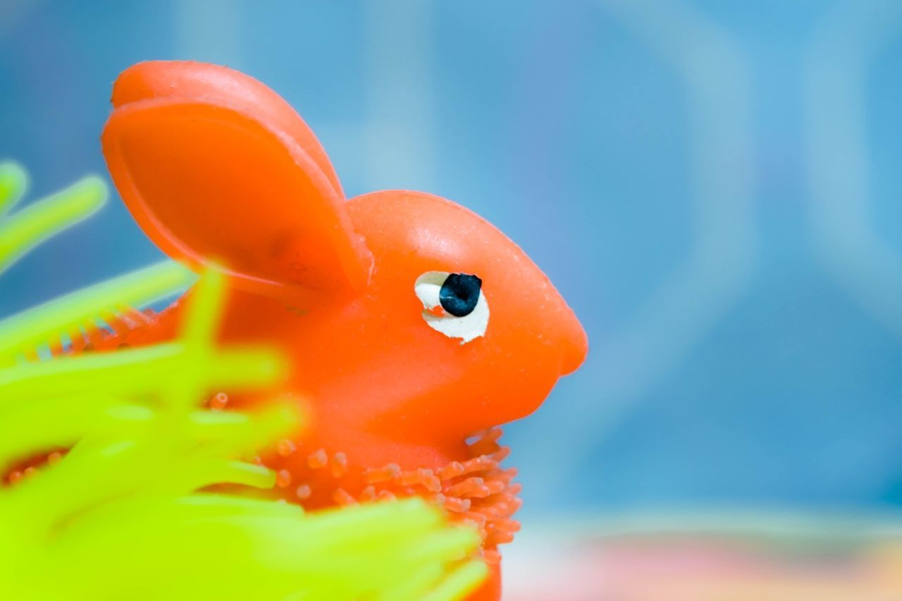 Close-up of orange toy 