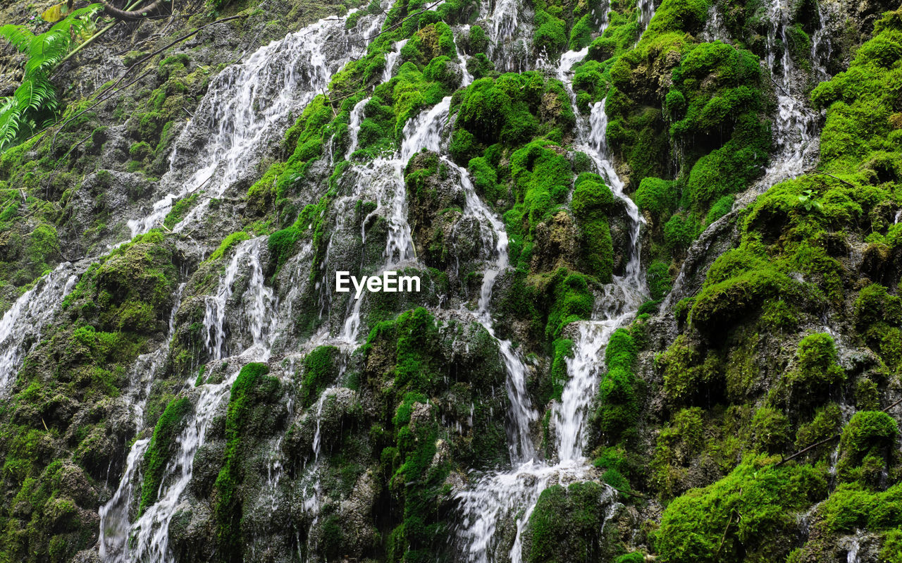 The waterfall is full of green moss and has clear water