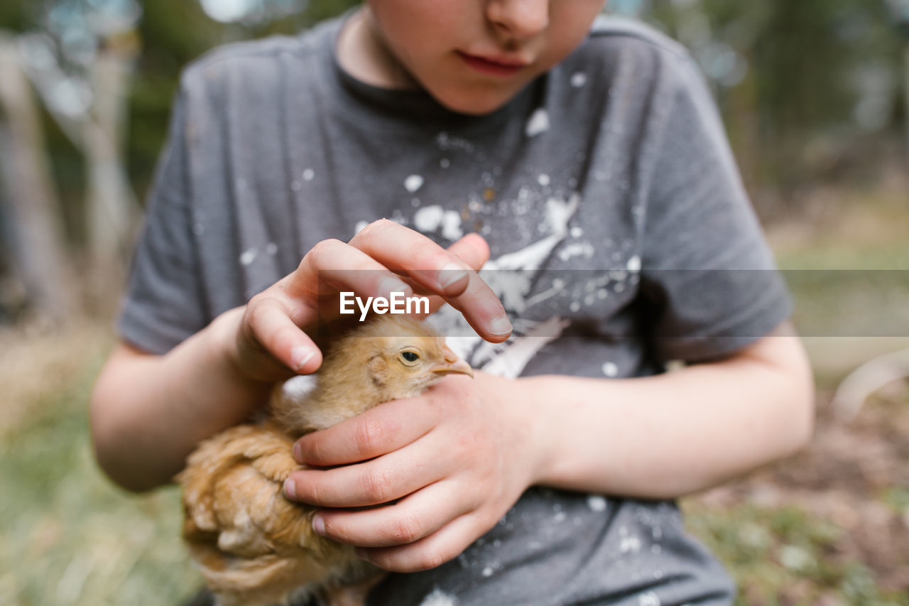 Midsection of boy sitting with chicken on grass