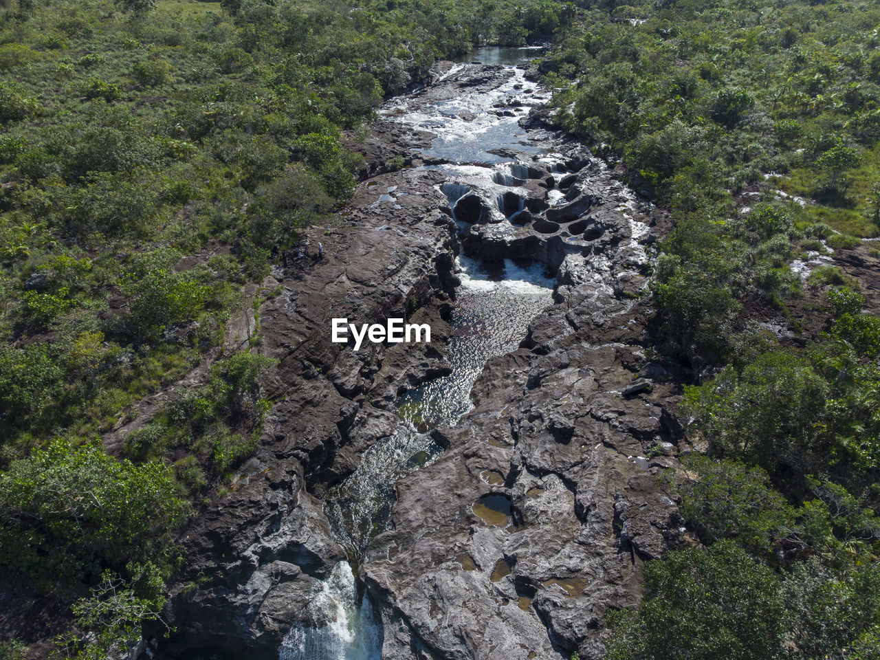 plant, nature, high angle view, beauty in nature, day, tree, land, no people, growth, scenics - nature, rock, tranquility, green, ridge, wilderness, non-urban scene, water, trail, mountain, walking, water feature, tranquil scene, outdoors, geology, environment, forest, ravine, adventure, landscape, stream, terrain, cliff, sunlight, idyllic