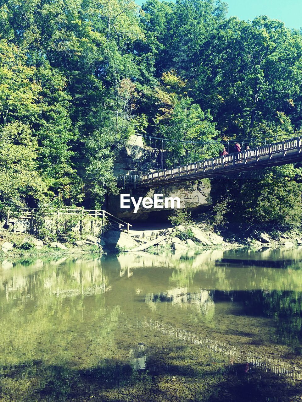 SCENIC VIEW OF RIVER WITH TREES IN BACKGROUND