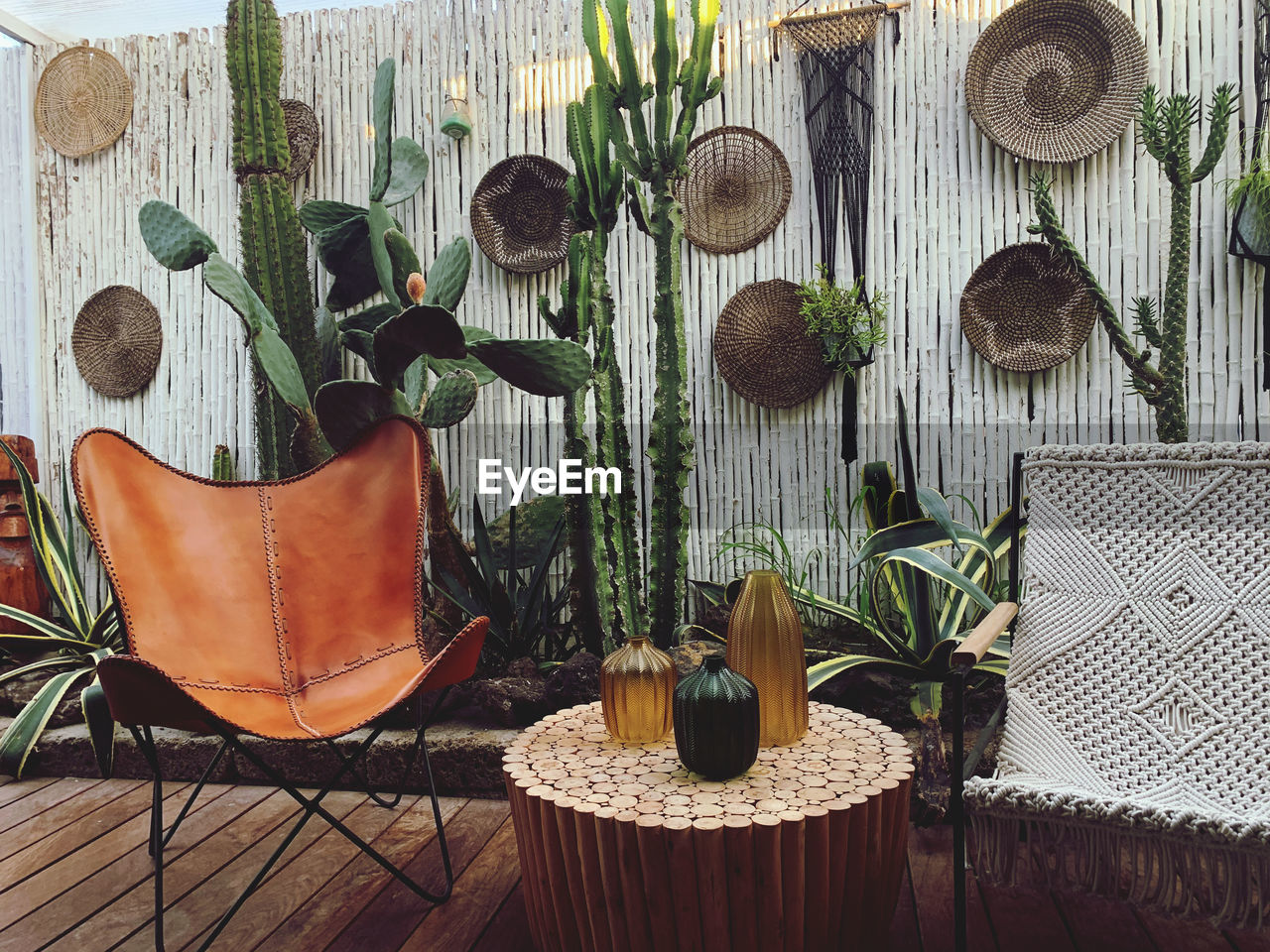 POTTED PLANTS ON TABLE