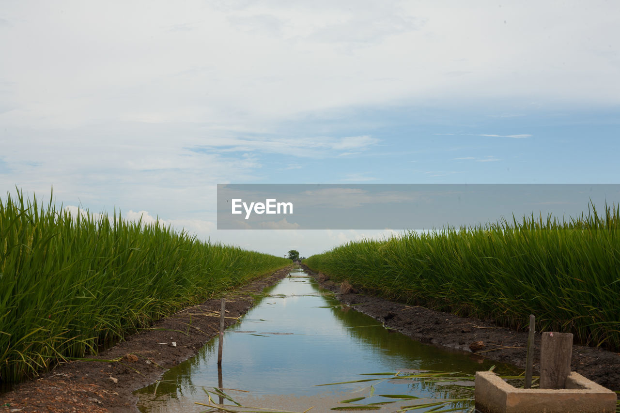 SCENIC VIEW OF CANAL AMIDST FIELD AGAINST SKY