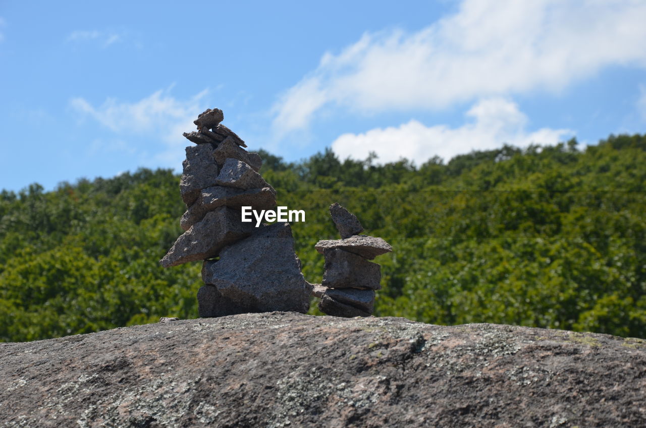 Statue on rock by trees against sky