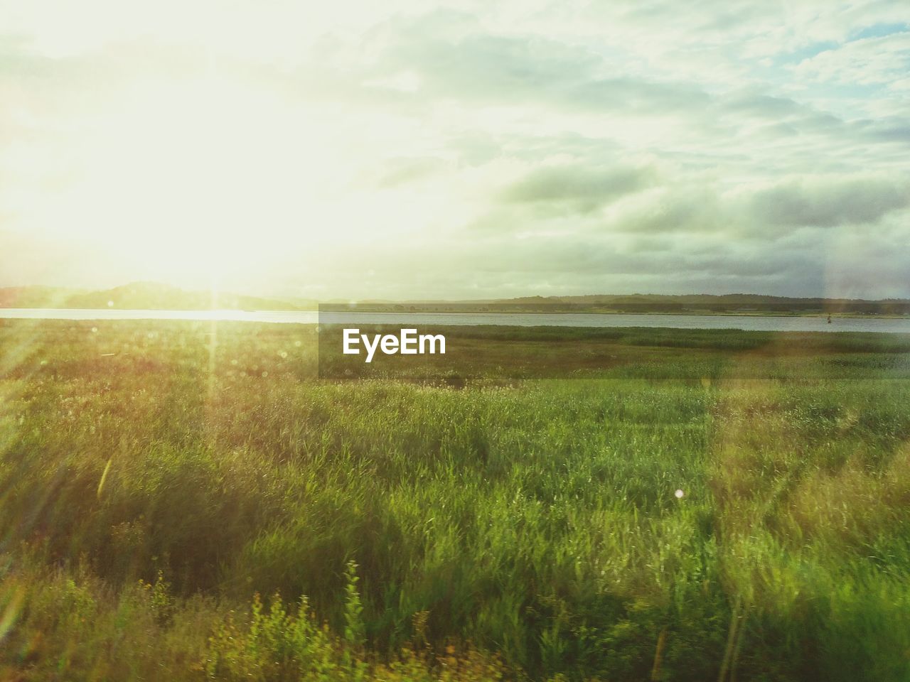 VIEW OF FIELD AGAINST SKY