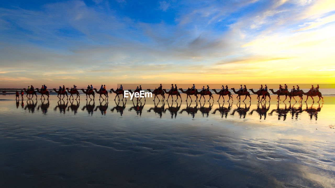 People riding camels at beach against sky during sunset