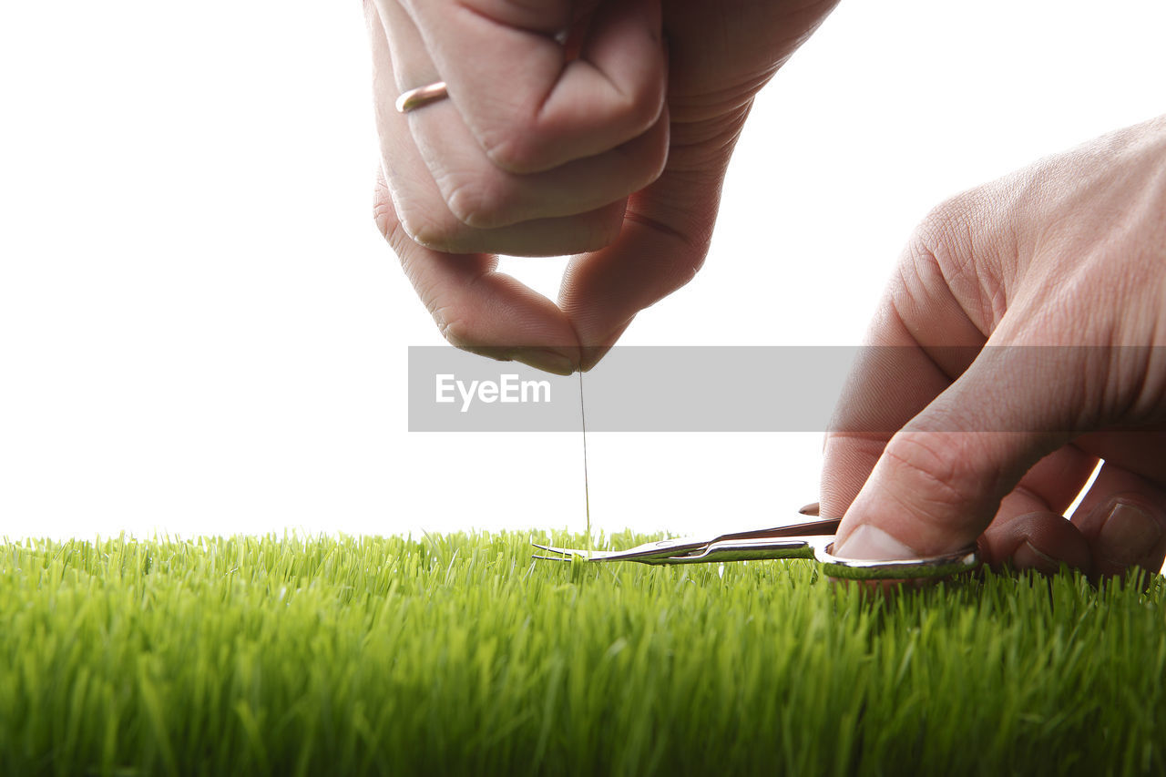 Young man cuts english lawn with a nail scissors
