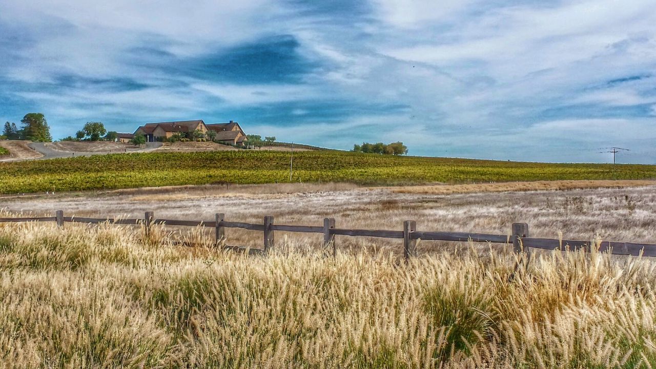 BARN ON FIELD AGAINST SKY