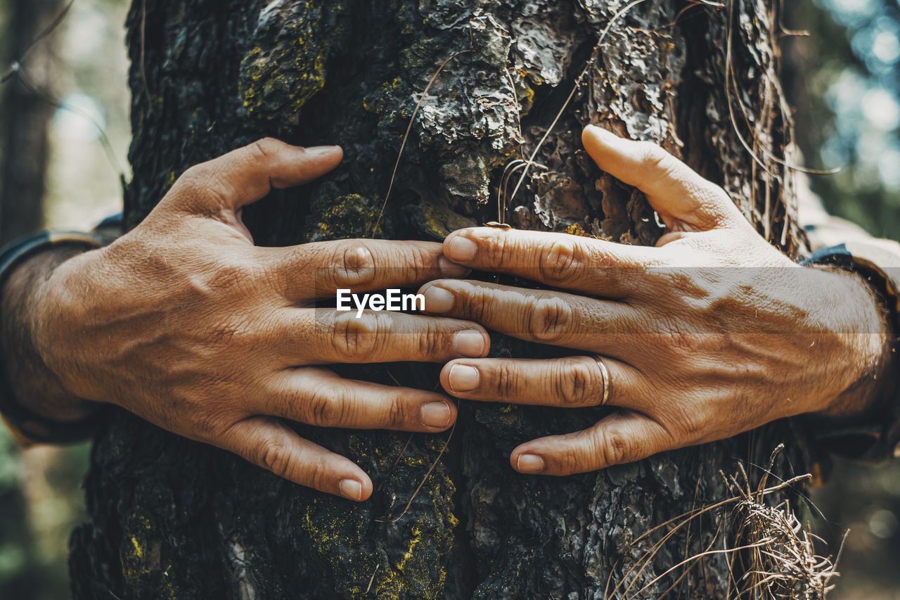 cropped image of woman with hands