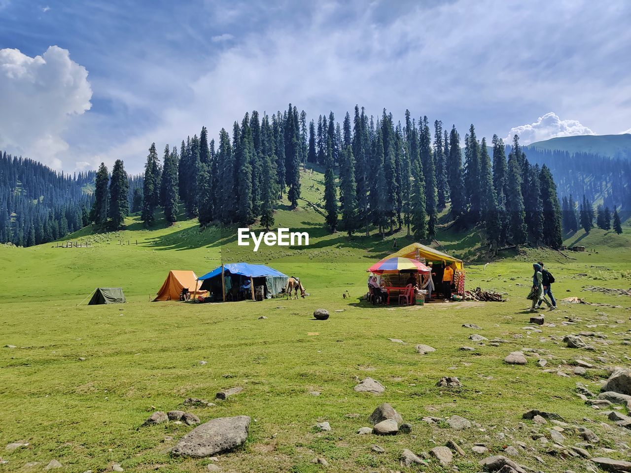 mountain range, plant, meadow, wilderness, scenics - nature, landscape, environment, land, sky, tree, mountain, nature, beauty in nature, cloud, grassland, grass, pasture, forest, plateau, camping, travel destinations, non-urban scene, travel, green, field, tent, plain, tranquil scene, pine tree, tranquility, coniferous tree, architecture, hut, pinaceae, pine woodland, no people, adventure, leisure activity, built structure, house, rural scene, activity, building, idyllic, tourism, valley, day, building exterior, outdoors, summer, highland, rural area, vacation, mountain peak, holiday, trip, ridge, woodland, remote