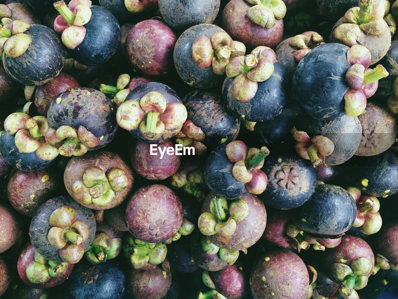 Full frame shot of mangosteens