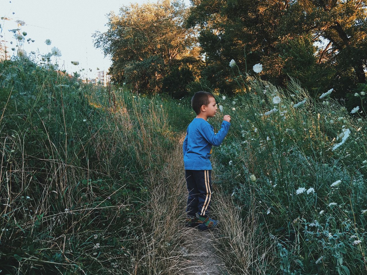 Side view of boy standing amidst plants