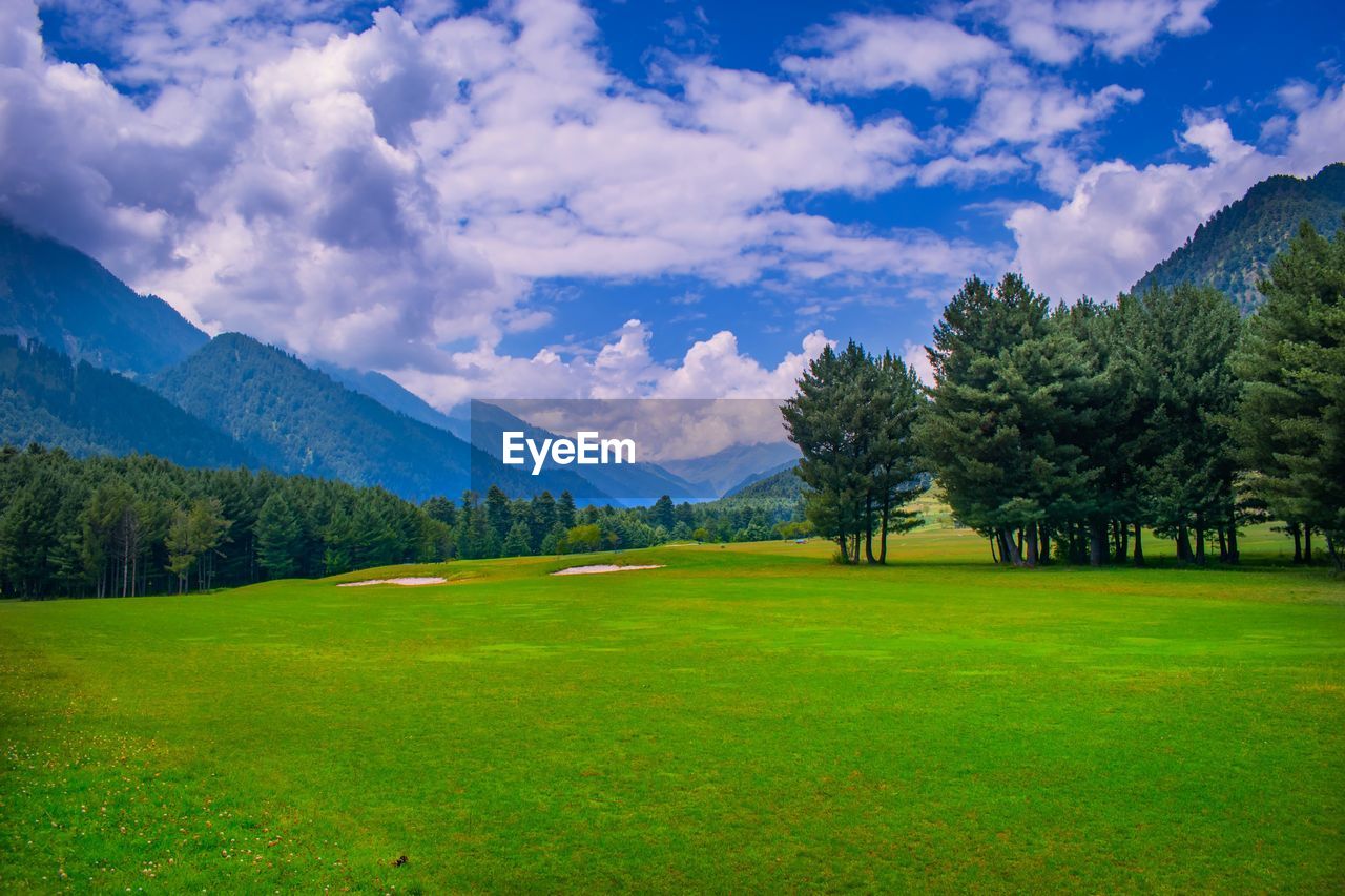 scenic view of grassy field against sky