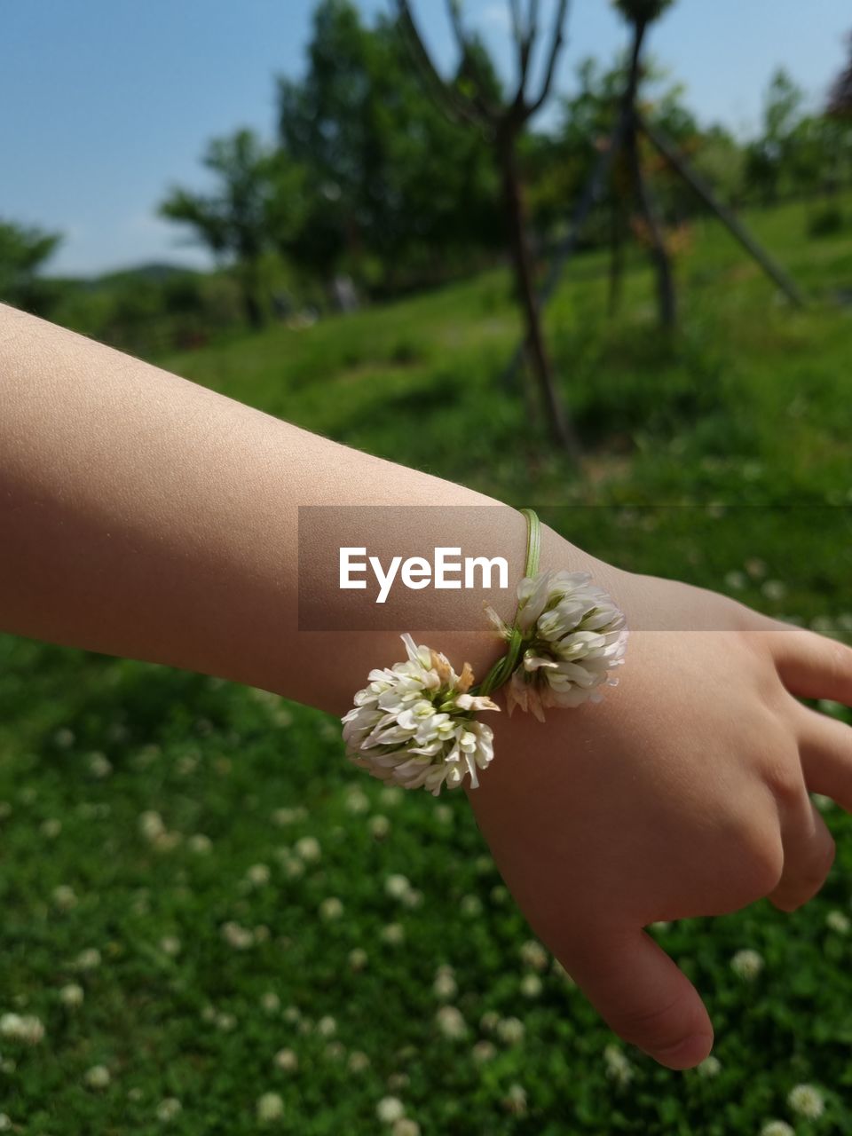 green, plant, hand, one person, adult, women, grass, flower, nature, focus on foreground, finger, close-up, limb, yellow, human limb, fashion accessory, day, holding, flowering plant, outdoors, lifestyles, jewelry, tree, celebration, ring