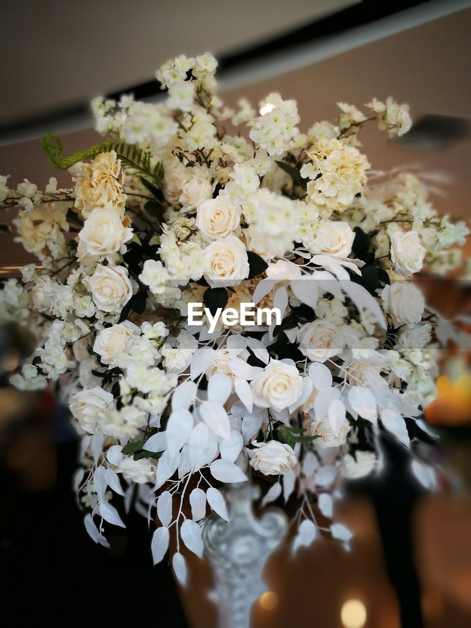 CLOSE-UP OF FLOWERS IN SUNLIGHT