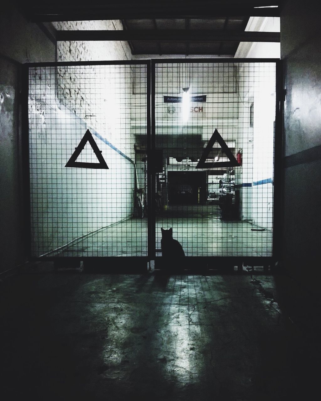 Silhouette of cat trapped on corridor of closed gate