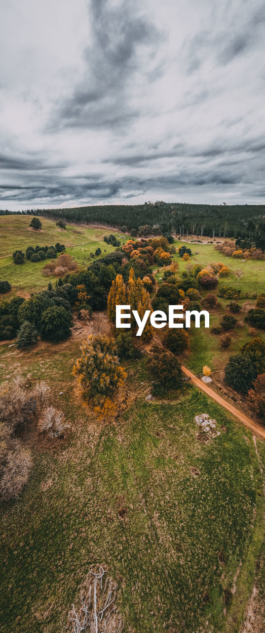 SCENIC VIEW OF FIELD AGAINST CLOUDY SKY