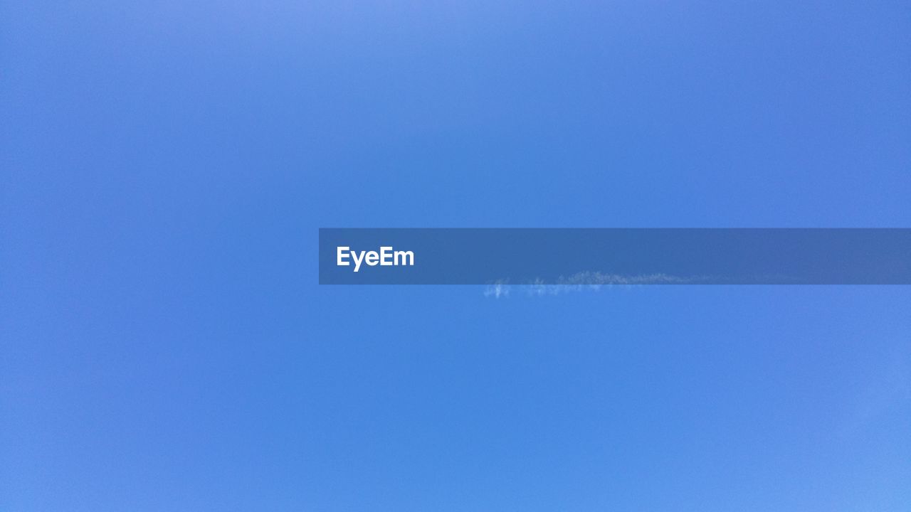 LOW ANGLE VIEW OF TREES AGAINST CLEAR SKY