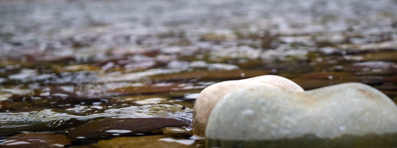 SURFACE LEVEL OF STONES ON ROCK