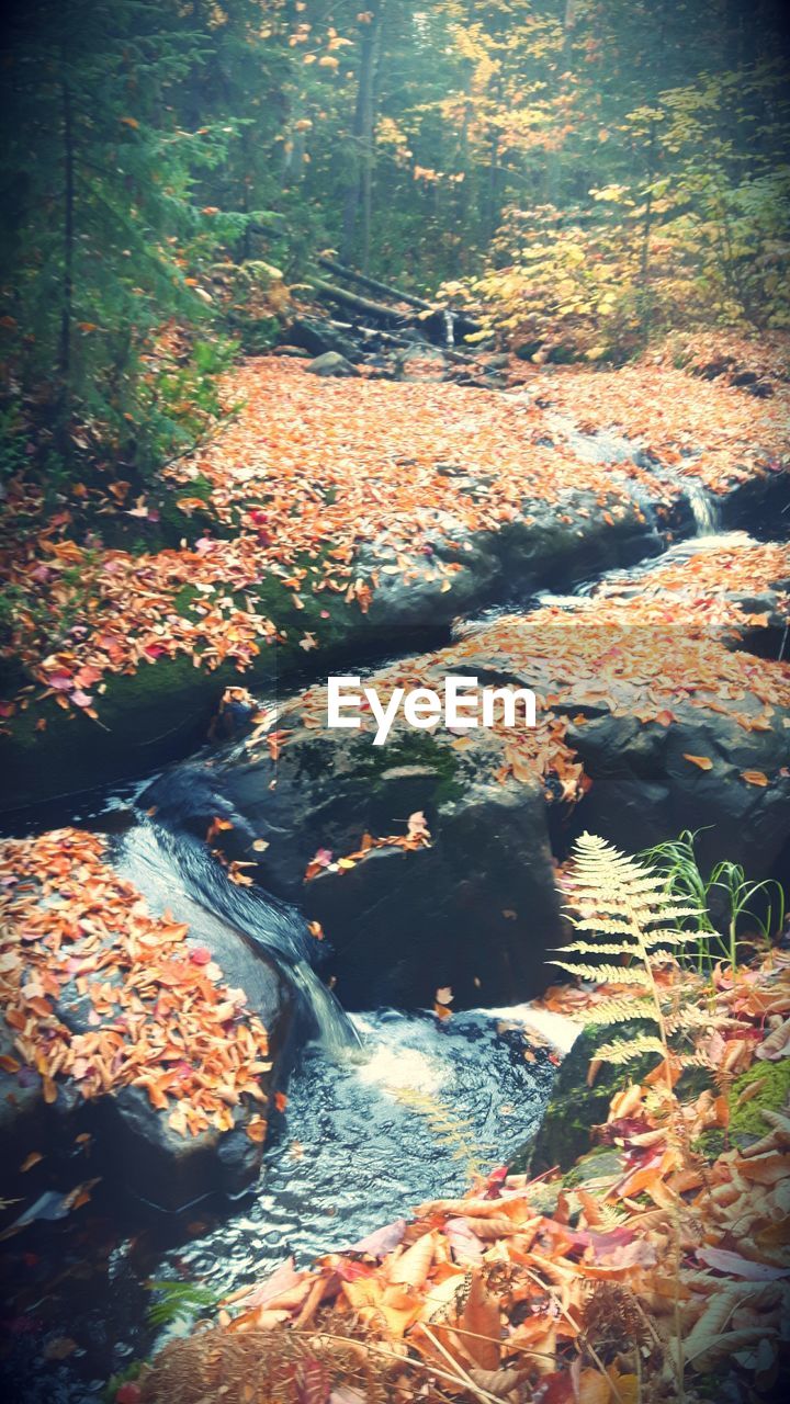 CLOSE-UP OF WATER FLOWING IN SUNLIGHT