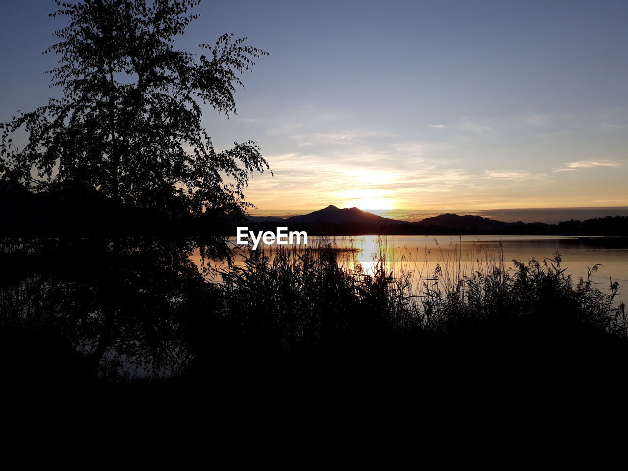 SILHOUETTE TREES BY LAKE AGAINST SKY DURING SUNSET