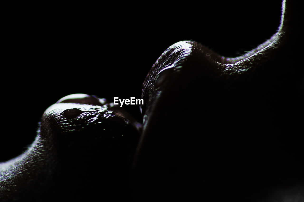 Close-up of person lips against black background