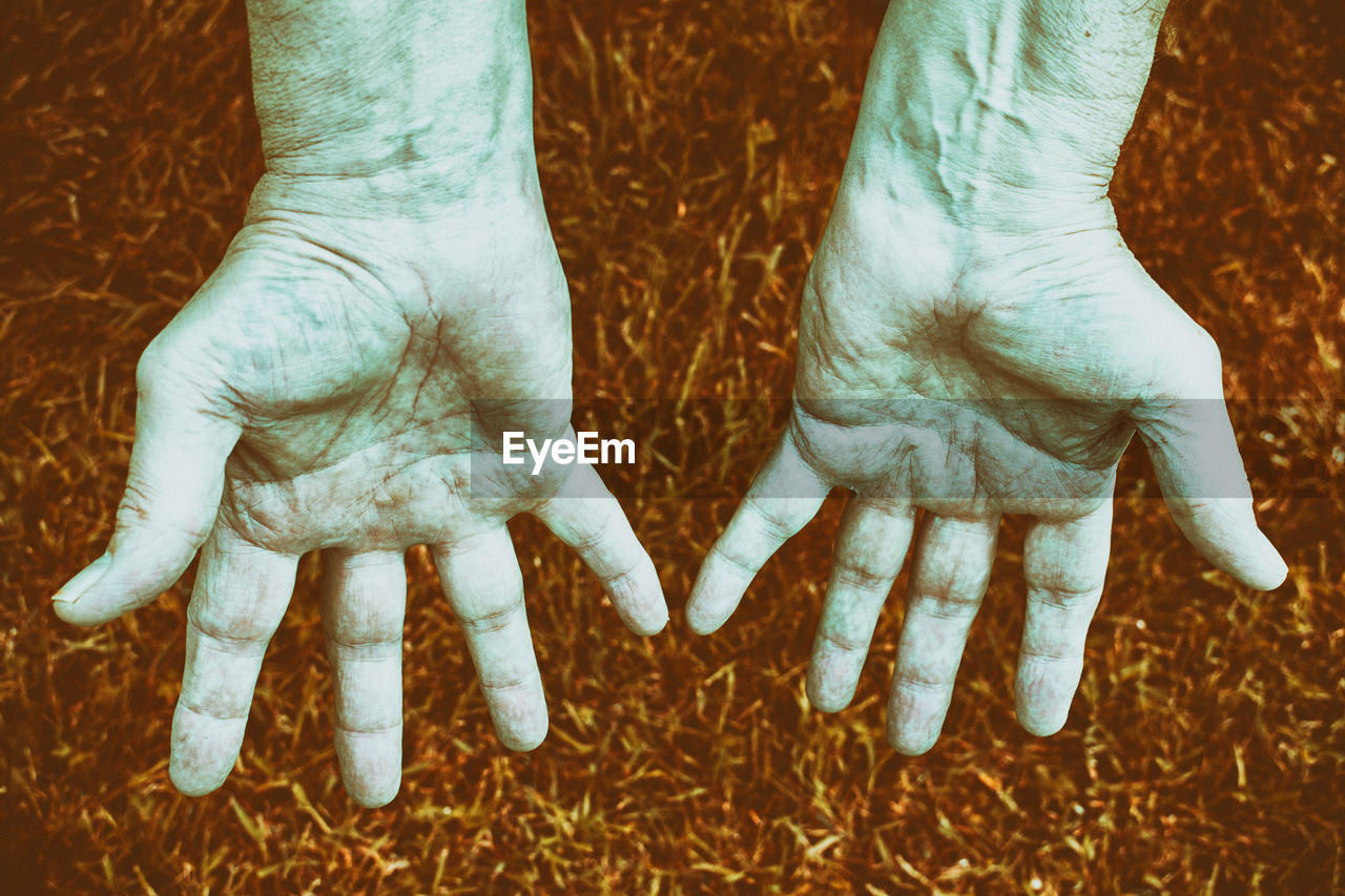 Cropped image of man showing hands over grassy field