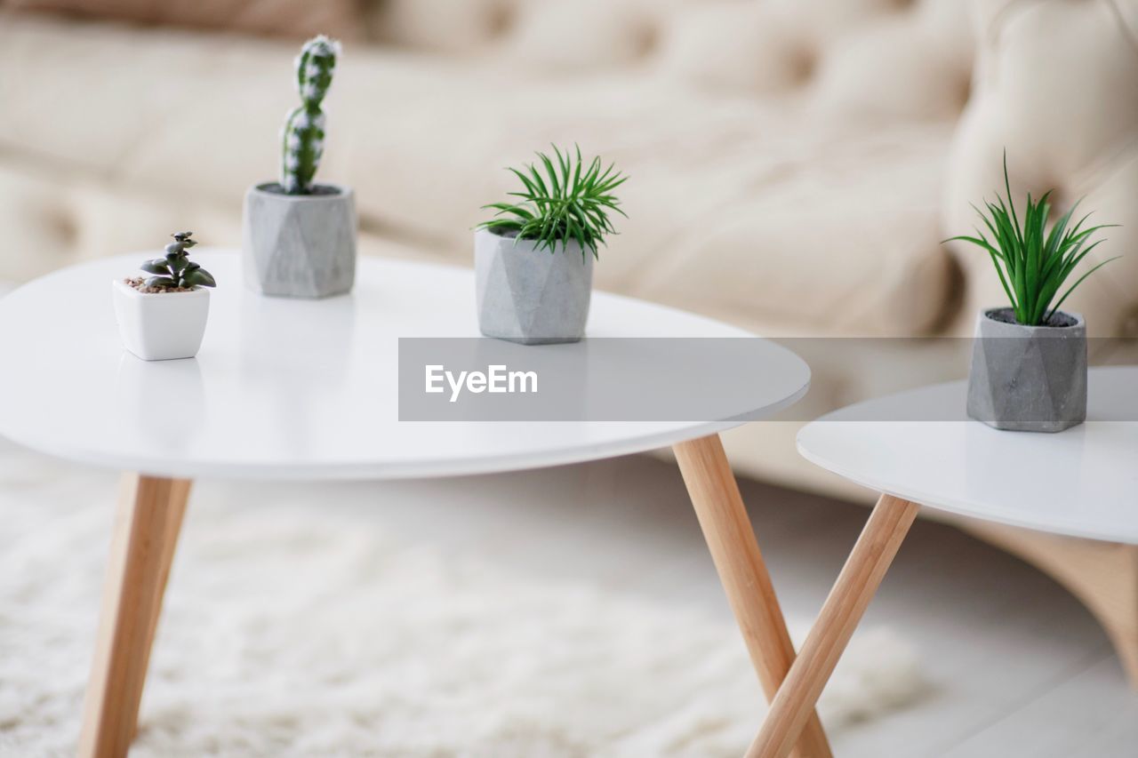 High angle view of potted plants on tables