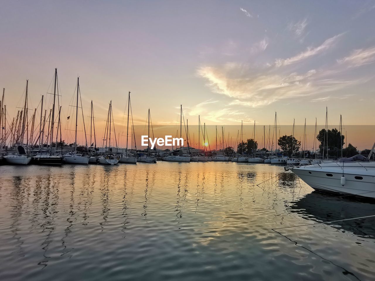 Sailboats in marina at sunset