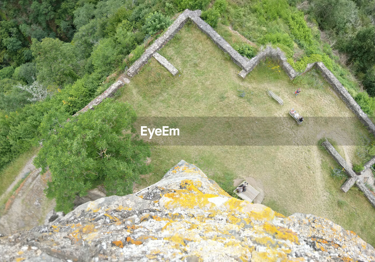 HIGH ANGLE VIEW OF STARFISH ON FIELD