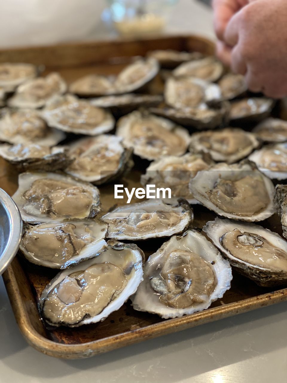 High angle view of oysters in a tray. shucked.