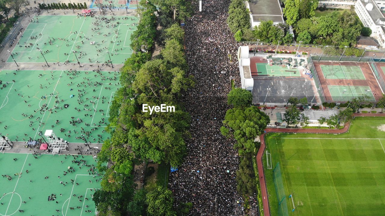 HIGH ANGLE VIEW OF TREE AND BUILDINGS IN CITY