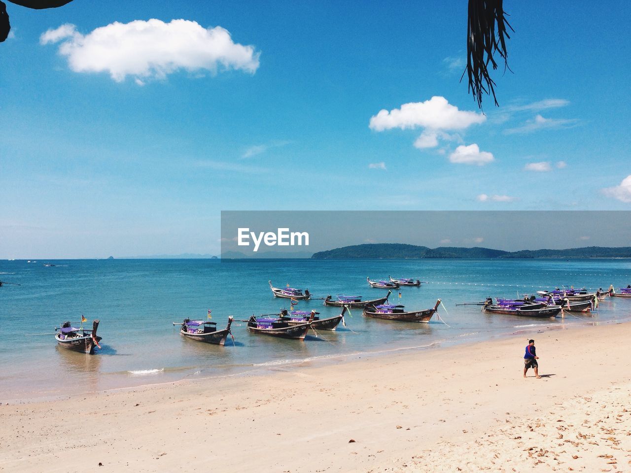 Boats moored on beach