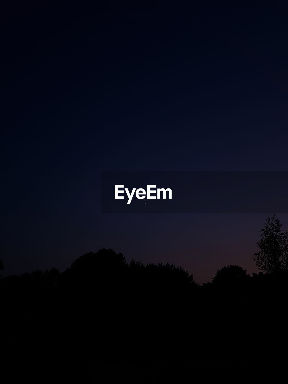 SILHOUETTE TREES AGAINST CLEAR SKY AT NIGHT