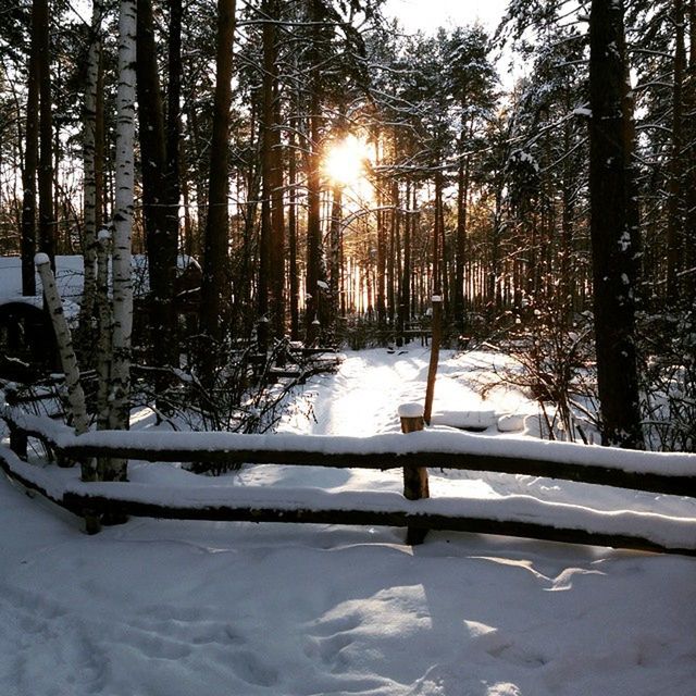 SNOW COVERED LANDSCAPE WITH TREES IN BACKGROUND